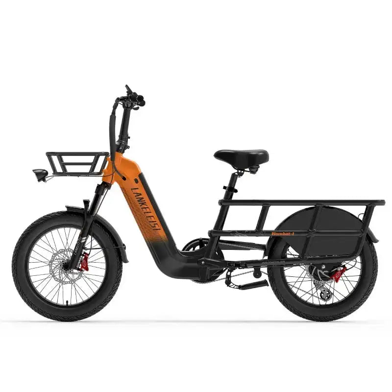 LANKELEISI Wombat-1 20" Cargo Electric Bike