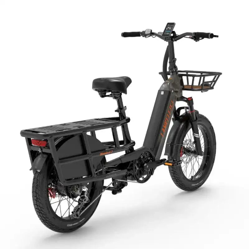 LANKELEISI Wombat-1 20" Cargo Electric Bike