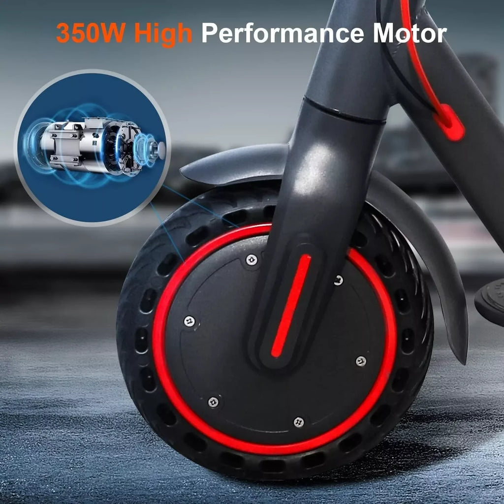 LP60 Electric Scooter 350W