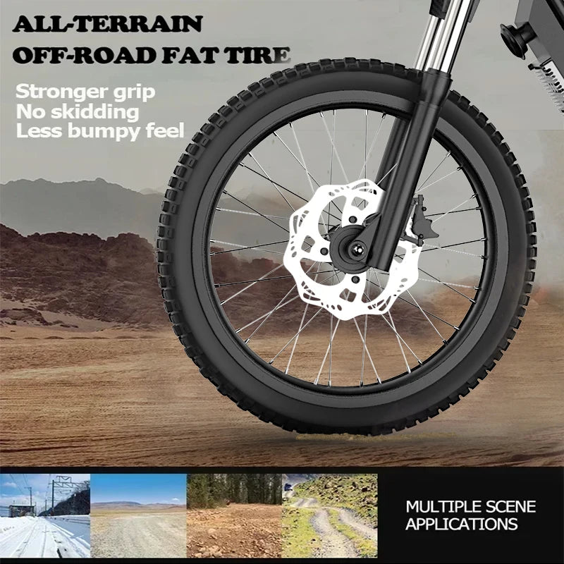28/40MPH 60V 25AH E-Bikes