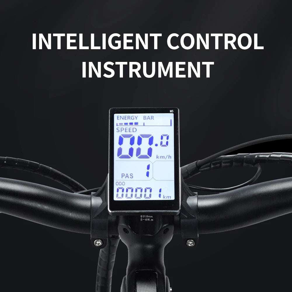 New Ridstar Winner Folding Electric Bike